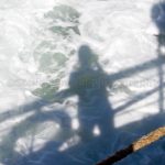 Selfie shadow in the surf!