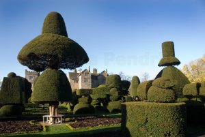 topiary, Levens Hall
