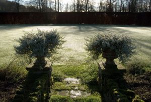 Dew on the croquet lawn.