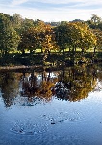 autumn reflections Lancaster